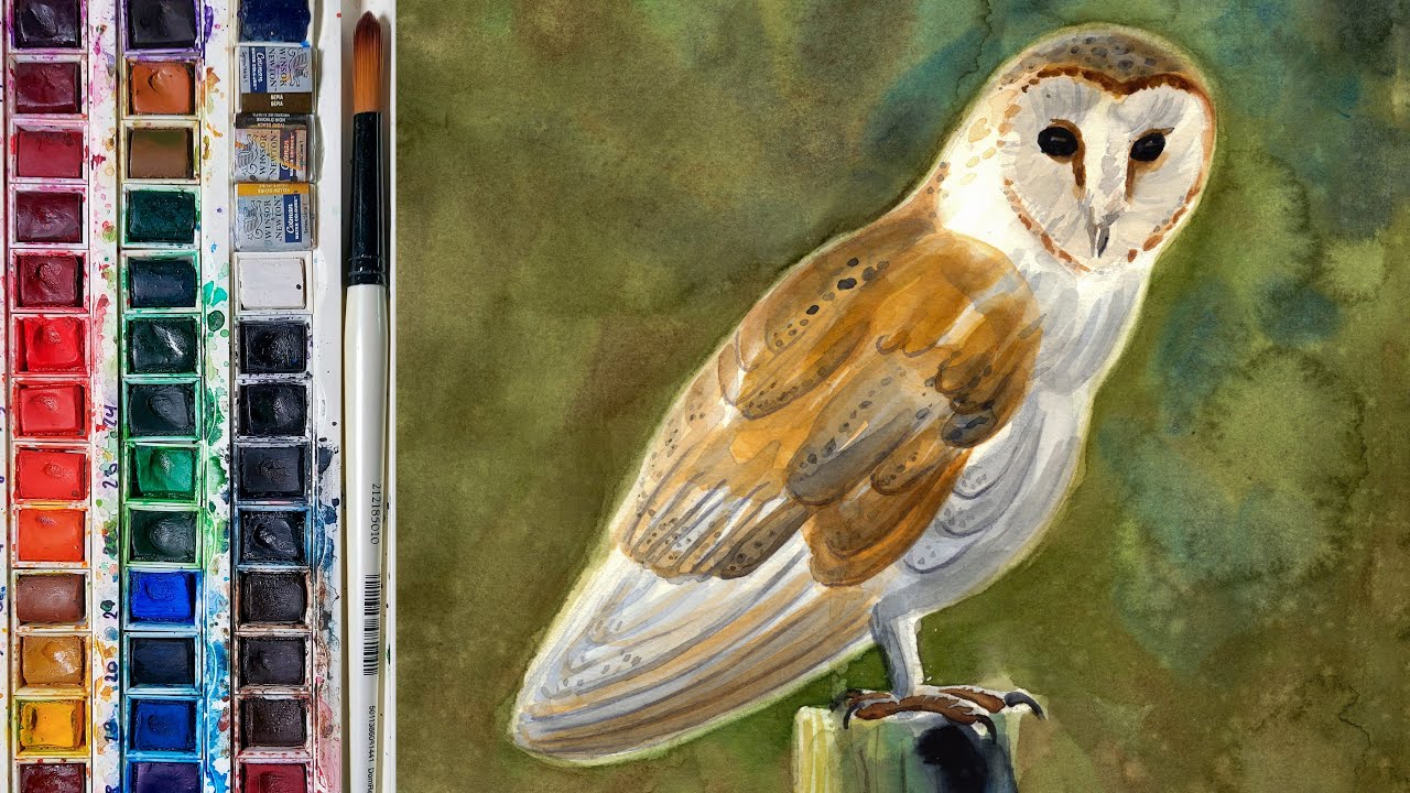 How to paint an owl in watercolor? Barn owl timelapse
