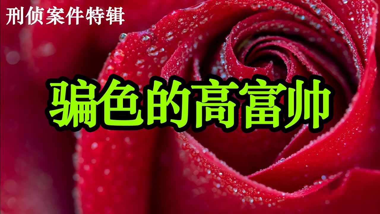 骗色的高富帅|刑侦案件特辑|激情犯罪|情感犯罪实录
