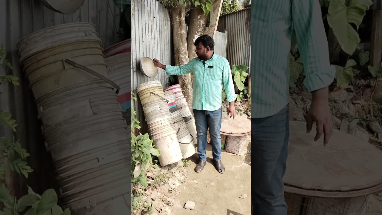 মাছের আড়ৎ আন্ধারমানিক বাজার। হরিরামপুর, মানিকগঞ্জ।