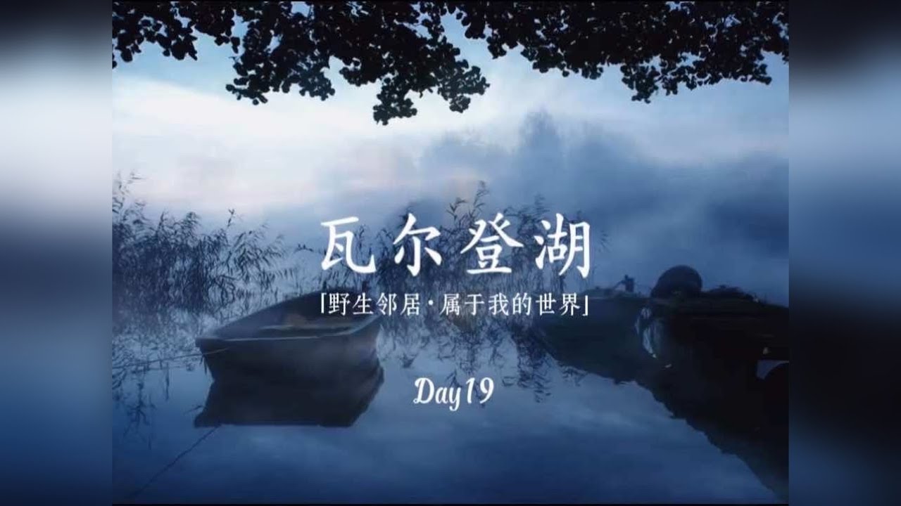 暖心美文助眠｜以我眼做你的耳，说遍这世界的另一种美好