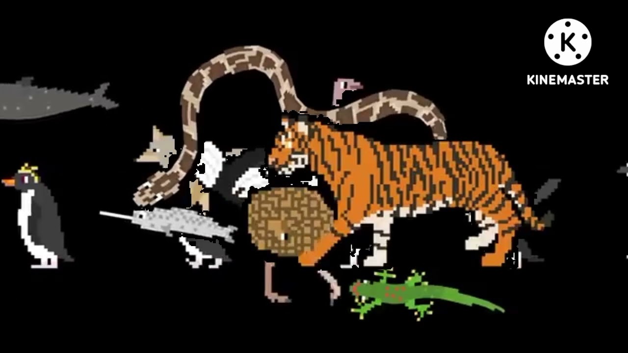 Zoo animals stampede the kids picture show part 3