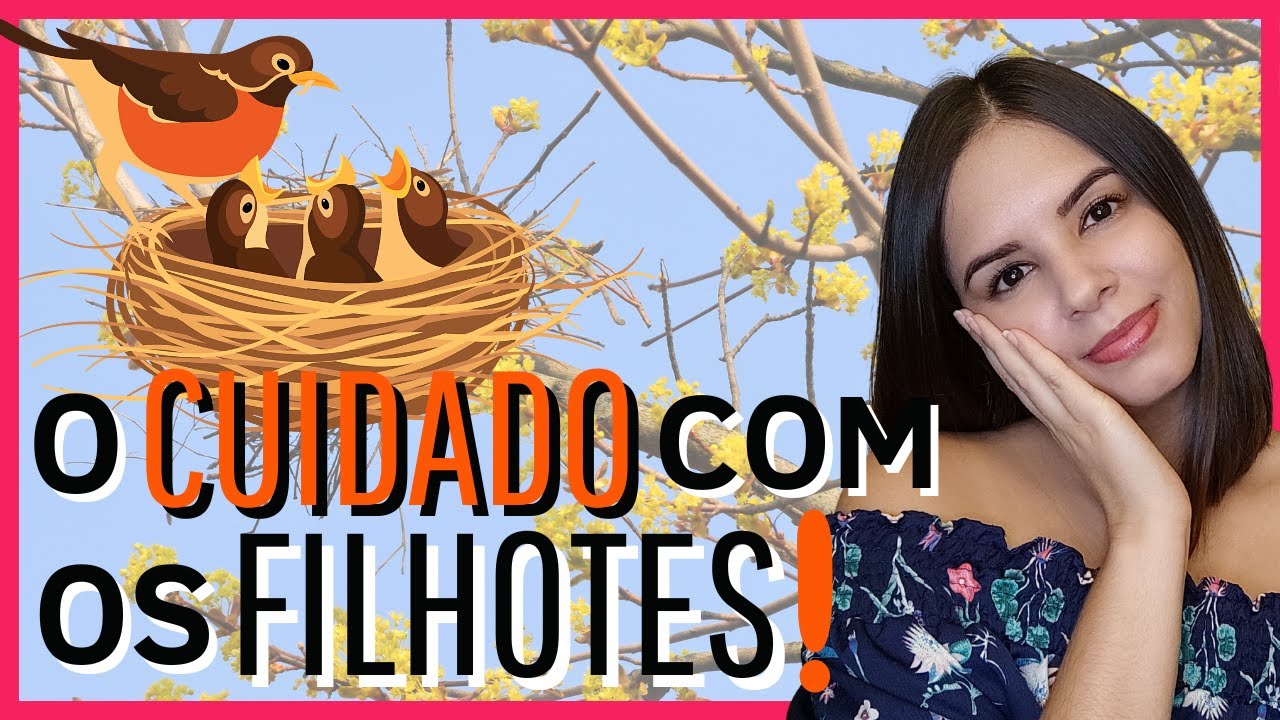 CUIDADO PARENTAL - As diferentes formas que os animais têm de cuidar dos seus filhotes