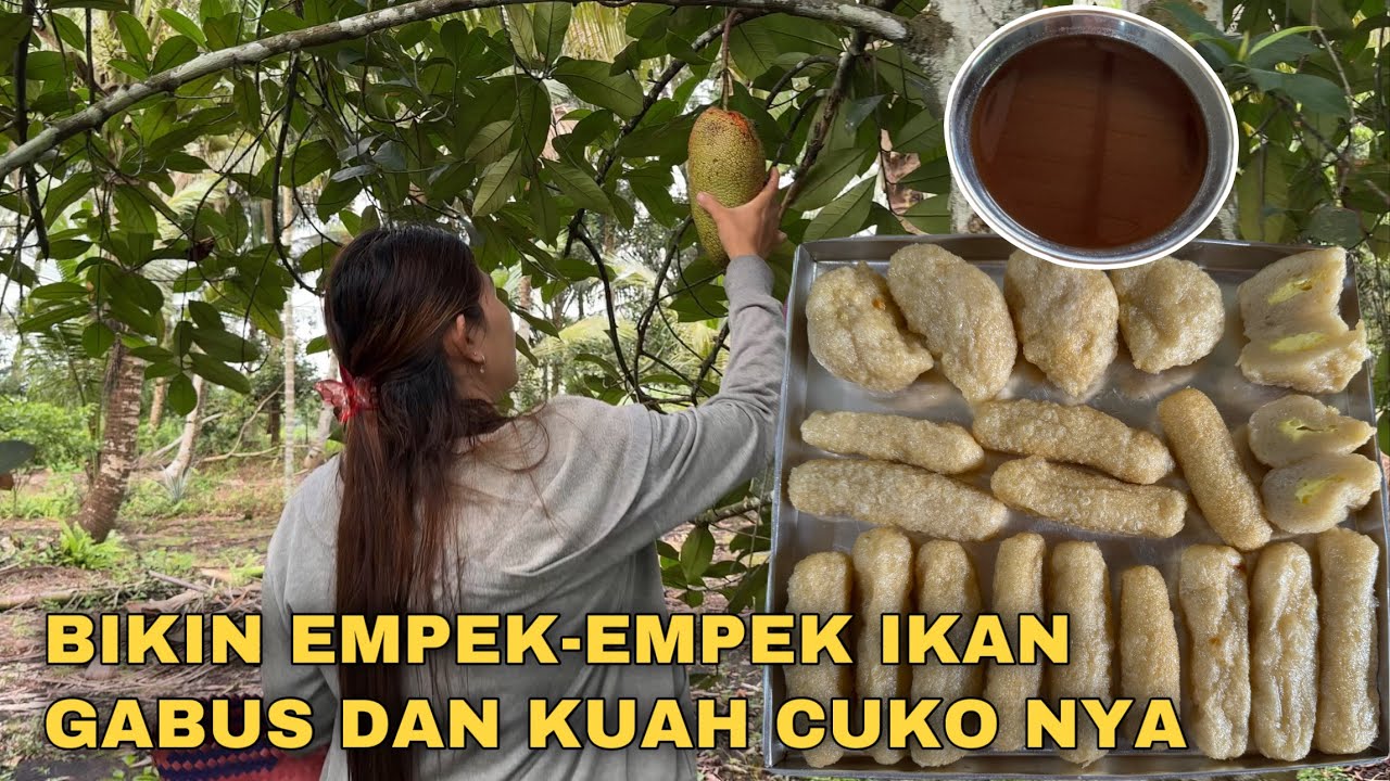 BIKIN PEMPEK IKAN GABUS DAN KEKEBUN LIHAT BUAH CEMPEDAK NYA PAPA