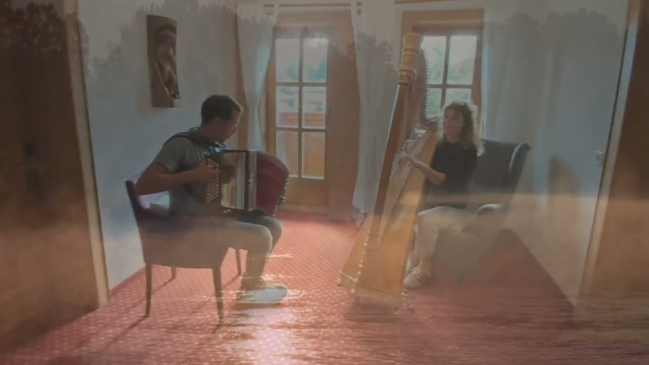 Nebelwalzer - Steirische Harmonika #steirischeharmonika #ziach #ziachfuchs #harfe #zugin