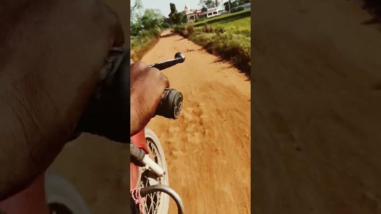 Super rasta