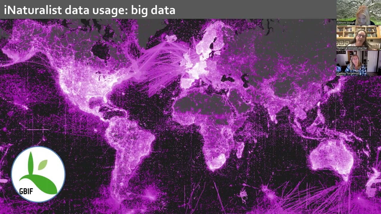 Crowdsourcing Science: How iNaturalist Observers are Building the Biodiversity Database