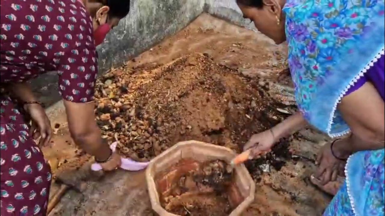Plant Care Day 🌿| Preparing Mud For Healthy Plants🪴 #mud #plants #water #pots #compost #vlog #like 