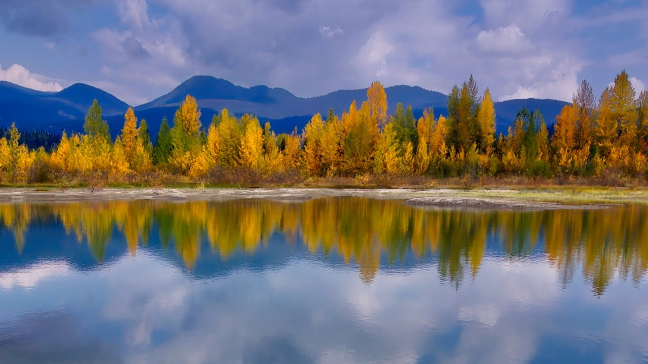 Reflections