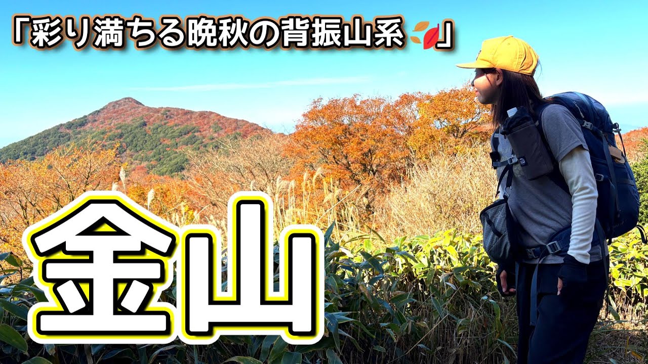【九州百名山：金山】彩り満ちる晩秋の背振山系✨紅葉トイレイル🍁