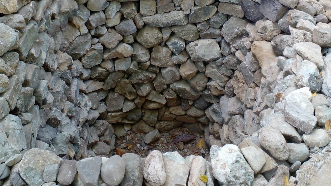 toilet pit update packing pit