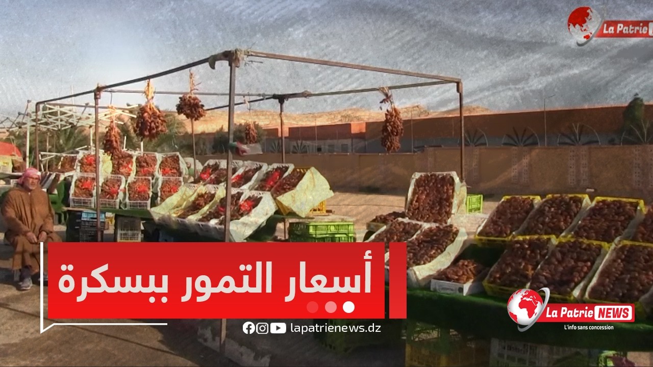 #روبورتاج 🎥لاباتري نيوز تقف عن أسعار التمور بسوق بلدية الحاجب ببسكرة عشية رمضان 🎙️🌙