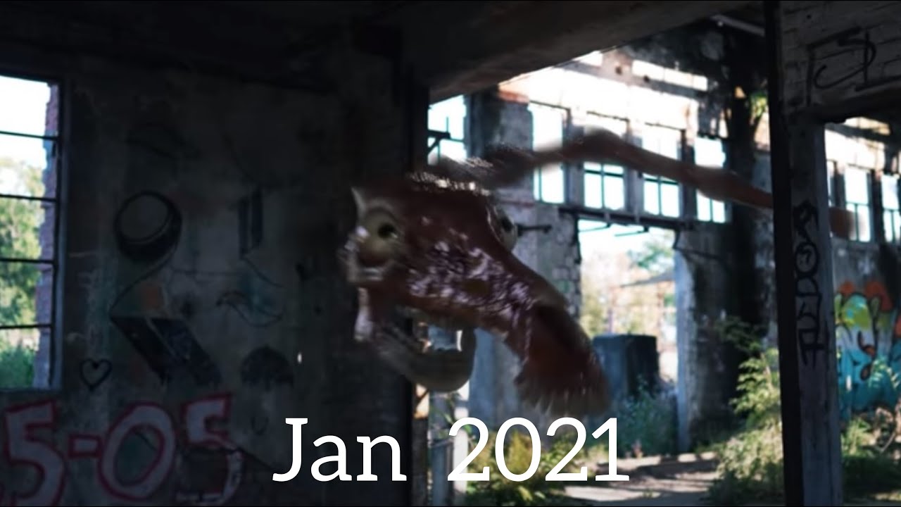 Evolution of Short Horse