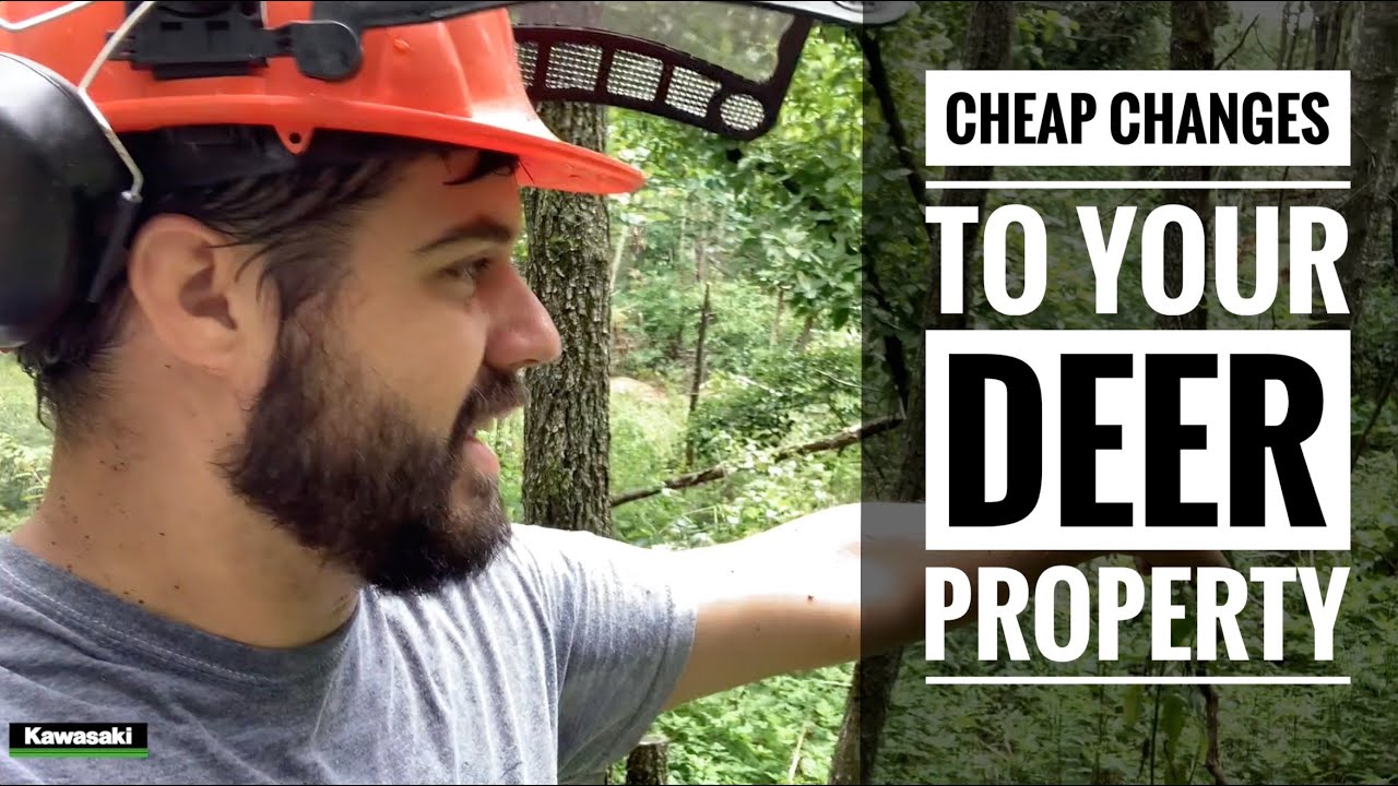 CHEAP MAJOR CHANGES TO YOUR DEER PROPERTY!