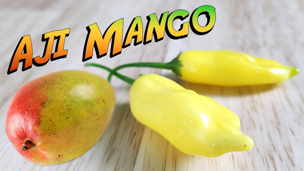 Fruity With a Touch of Fire - Aji Mango Review