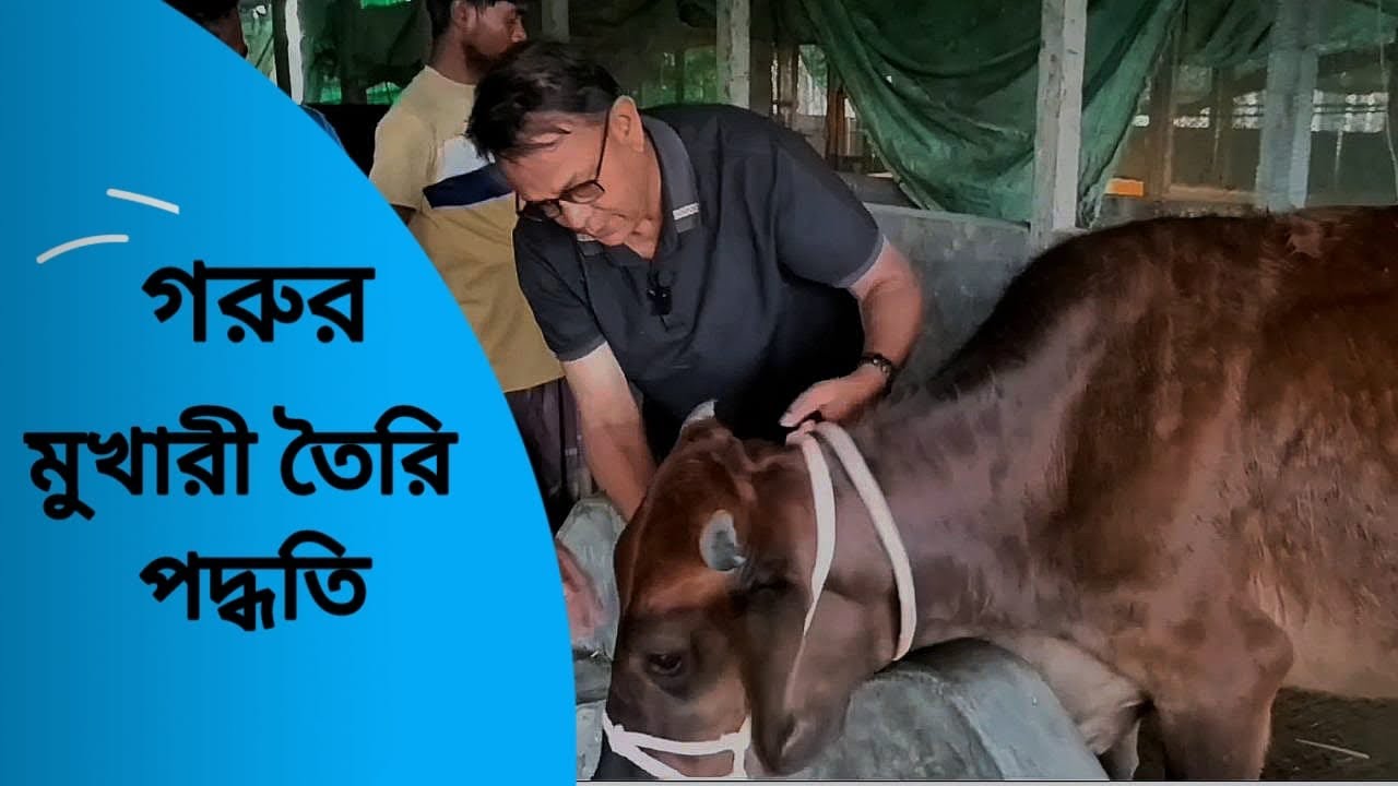 গরুর মুখারী তৈরি পদ্ধতি