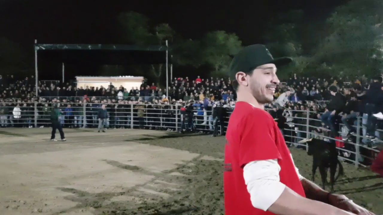 Feira anual da Trofa 2020 - a tourada.