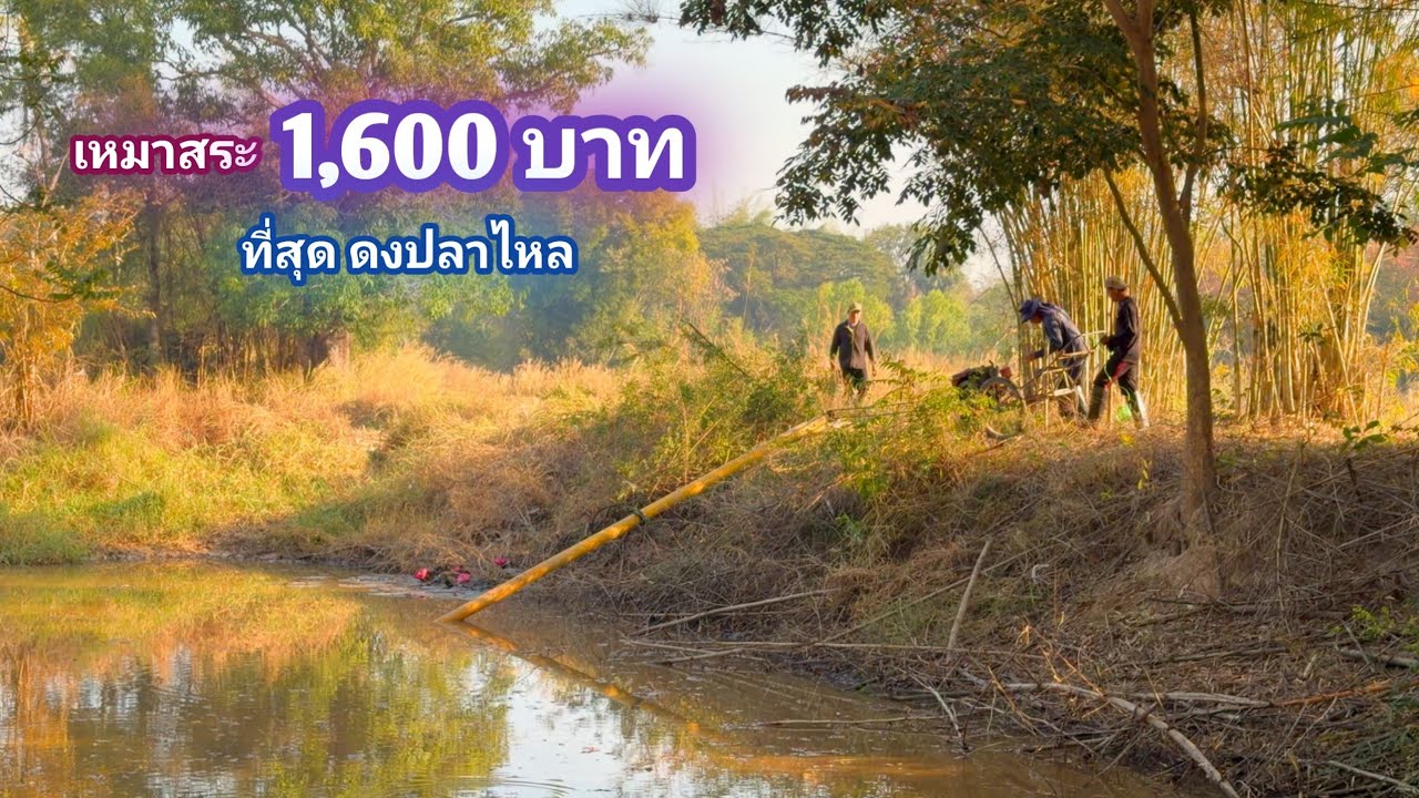 เหมาสระ 1,600 บาท ที่สุด ของดงปลาไหลใหญ่ 2 วัน 1 คืน / บ้านนอกEP.996