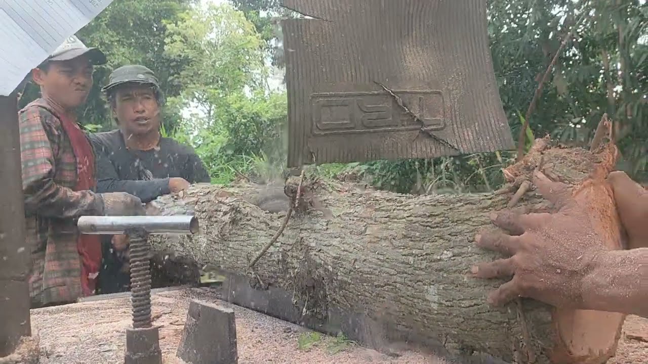 Amazingly Beautiful, Sawing Wood With a Homemade Circular Saw 