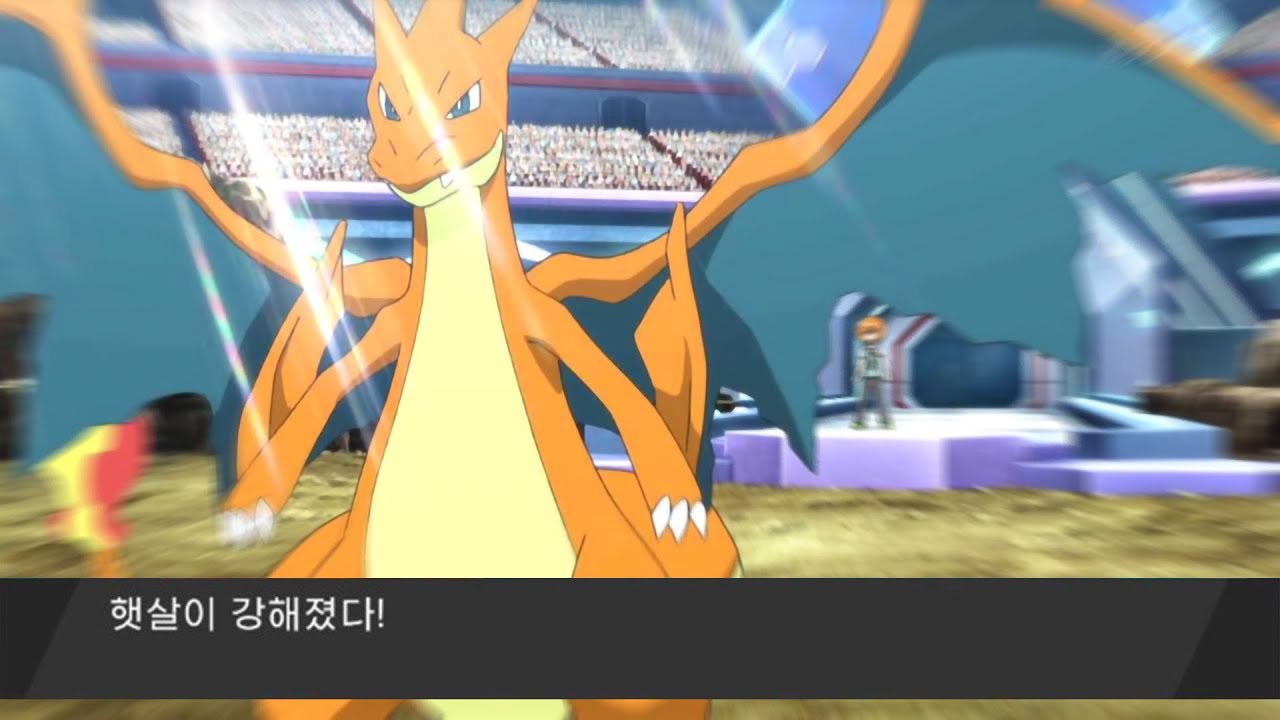 젠장 또 리자몽이야