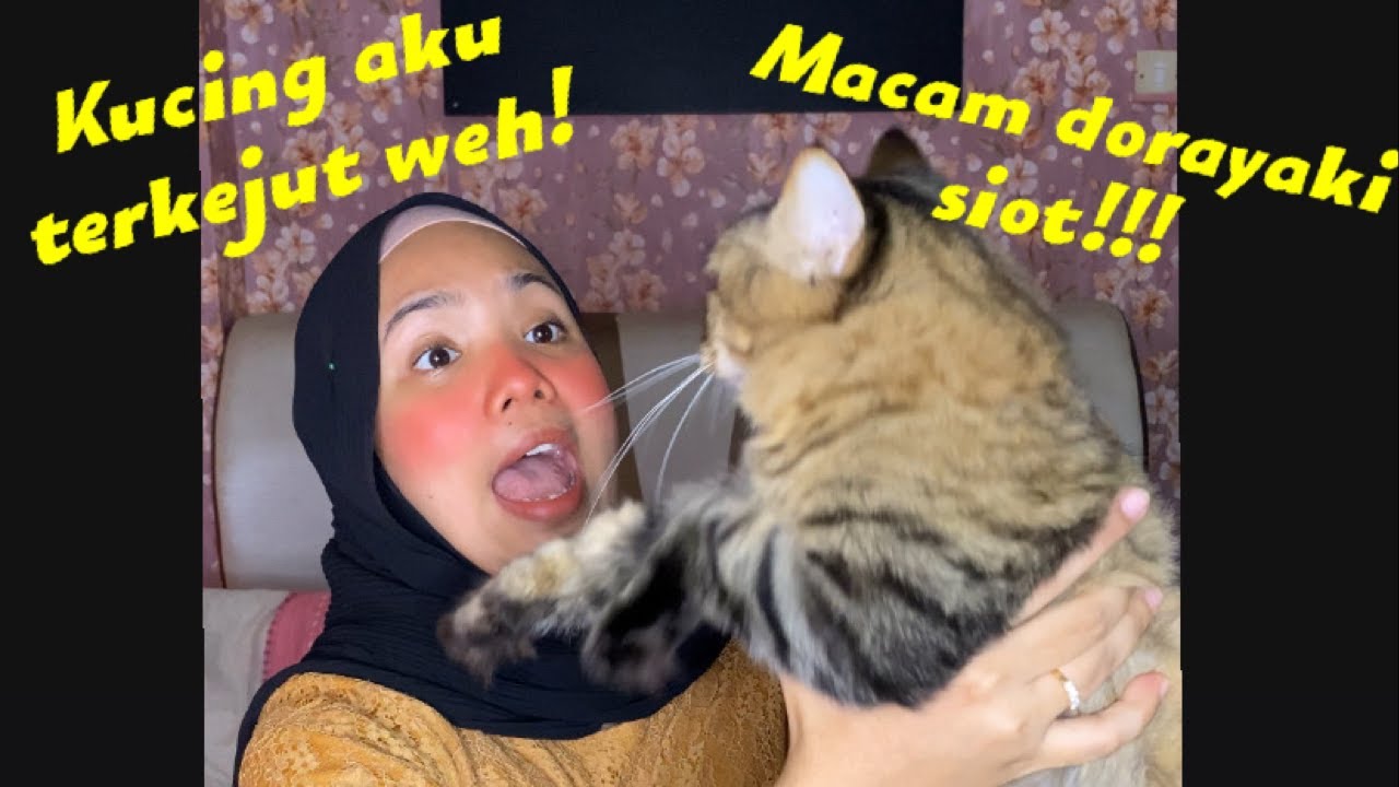 TIPS | TUTORIAL PAKAI BLUSHER SUPAYA NAMPAK NATURAL