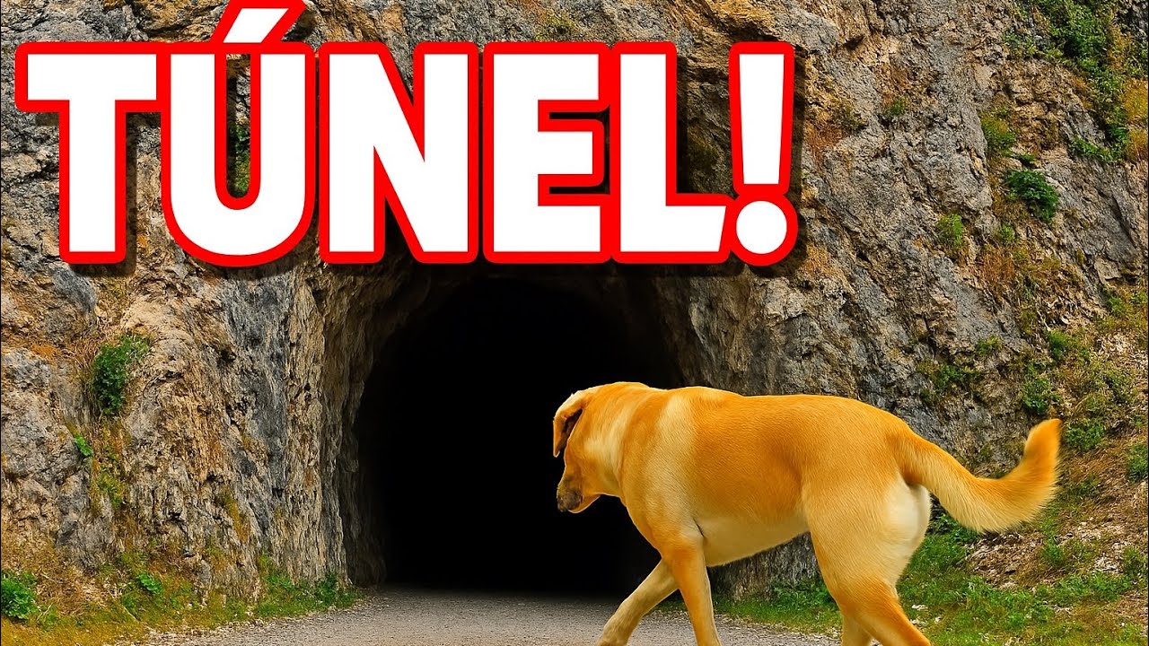 EL TUNEL SUBTERRANEO MAS OCULTO DE EL SALVADOR l EL PUNTO ESTRATEGICO EN LOS AÑOS 1981-1992