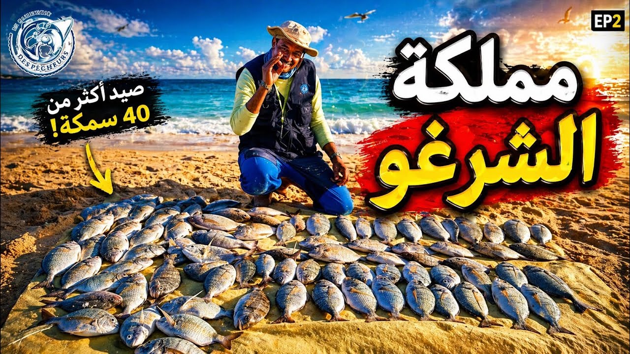 👑 دخلت مملكة الشرغو 😱! مصيد رملي مجنون وحصيلة فوق الخيال 🎣🌊