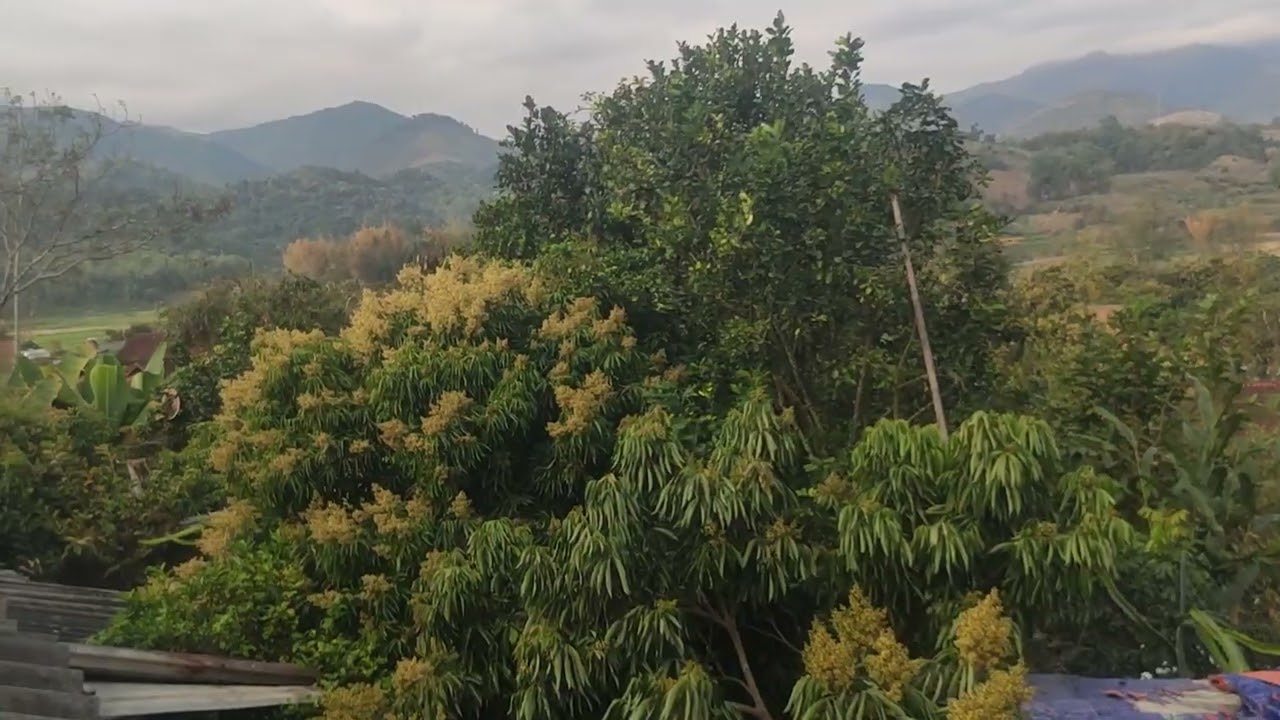 Ban na phay mường nhà 