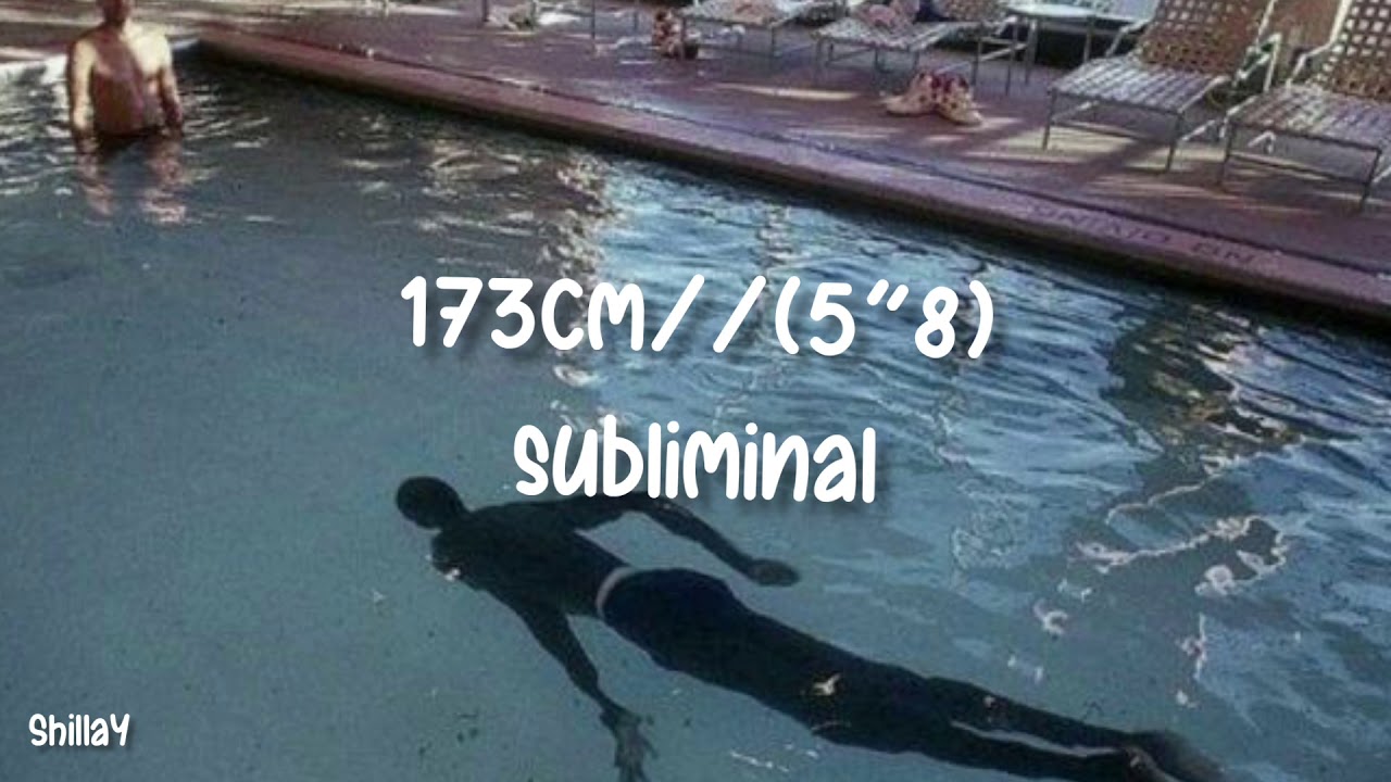 173cm//(5