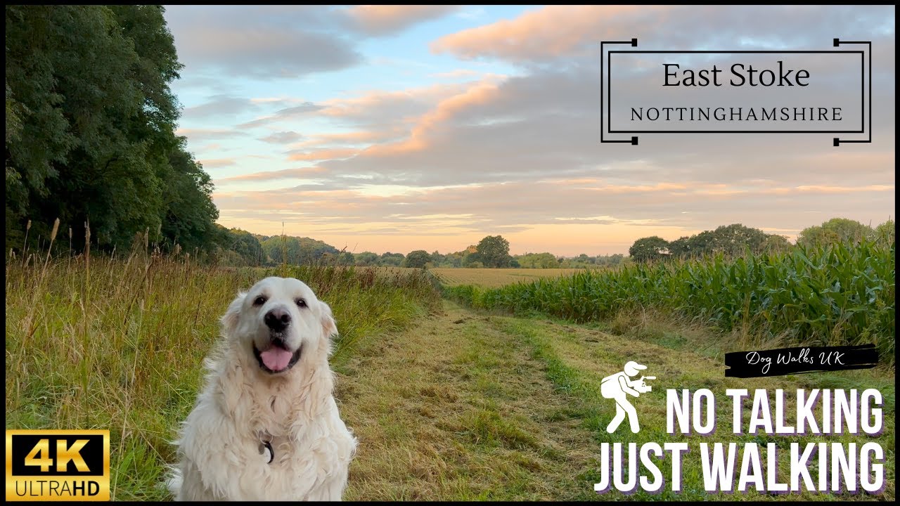 East Stoke, Nottinghamshire｜English Countryside