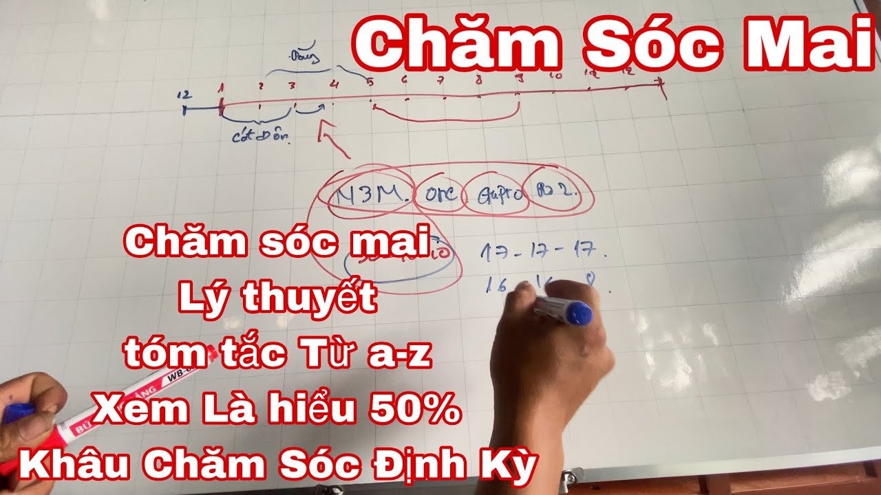 tóm tắc quá trình chăm sóc mai vàng từ đầu năm đến cuối năm - quy luật chăm vàng vàng chơi tết