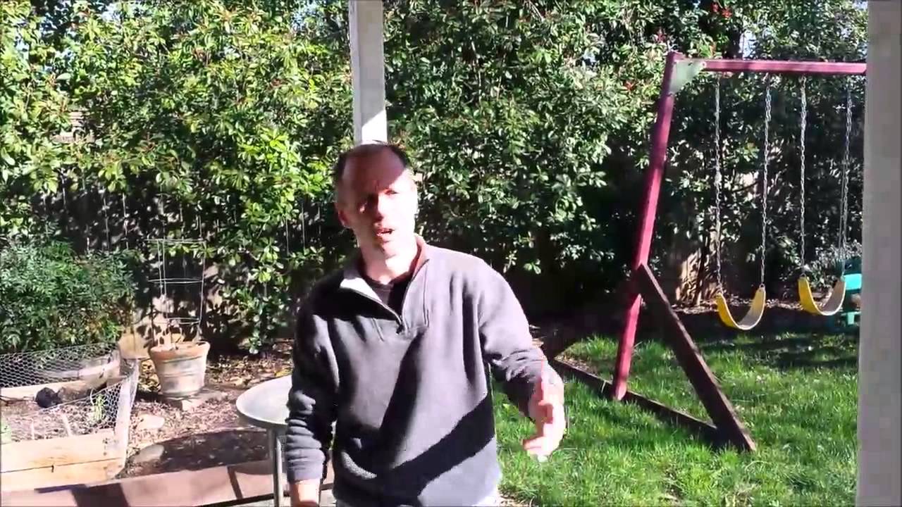 Patio Cover/ Dry Rot