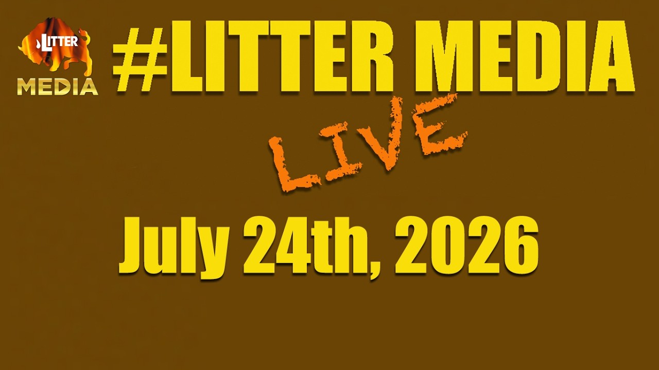 #LitterMediaLIVE за пятницу, 24 июля 2026 г.