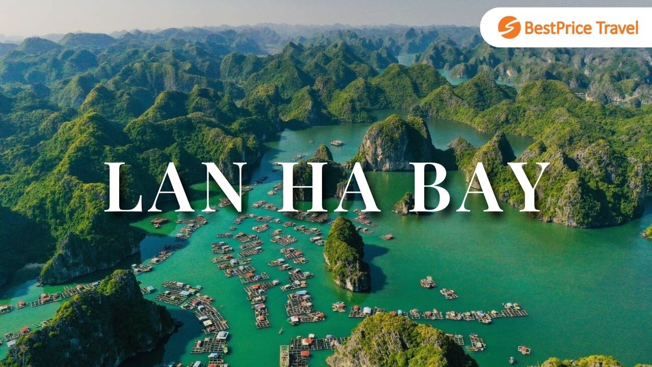 Unveil Lan Ha Bay's Secrets: Best Cruises & Attractions for 2025/26