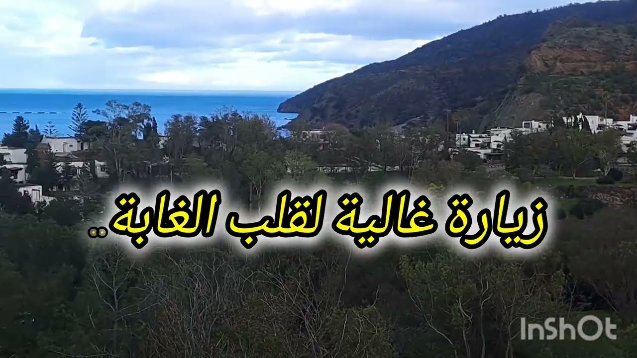 الطبيعة تحتضن من نحب❤️
