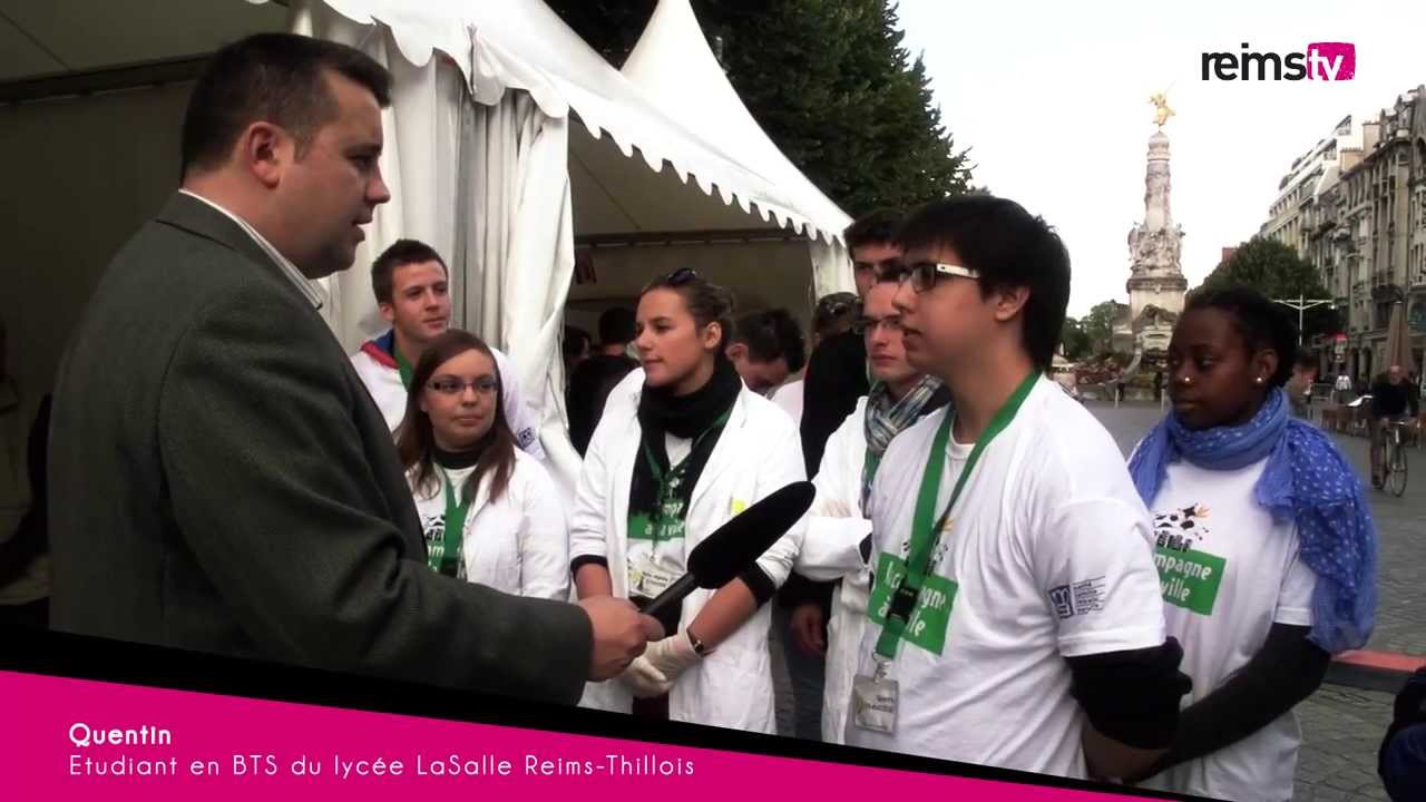 Reims and the City #7 - Campagne à la ville