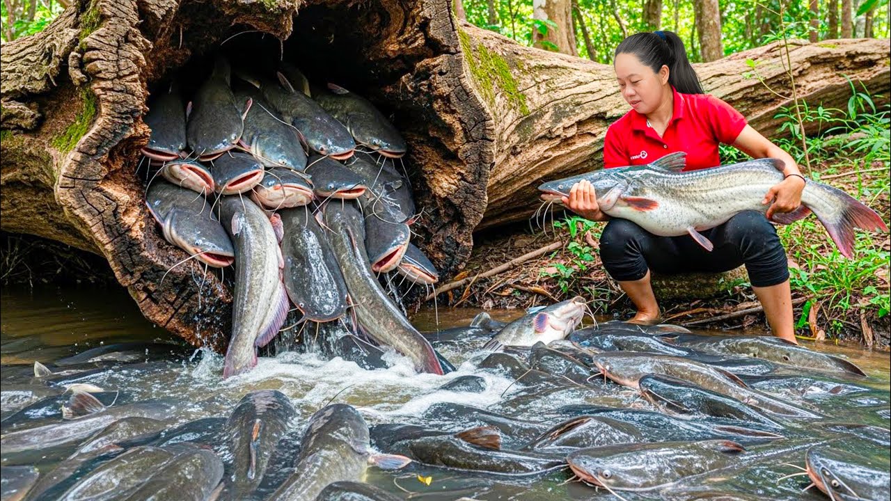 Harvesting Giant Natural Fish & Go to Market Sell | Catch A Lot Of Fish in River | Survival Fishing