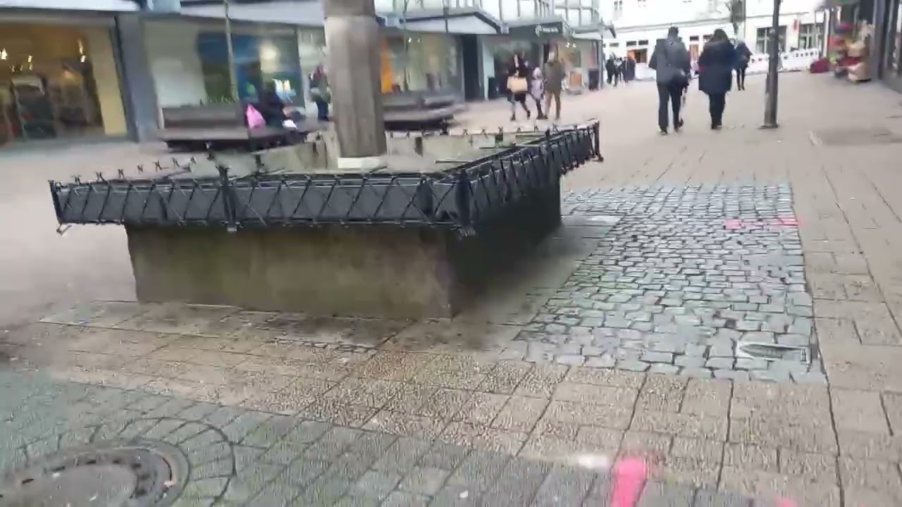 Stadt Celle 2023 Rundgang