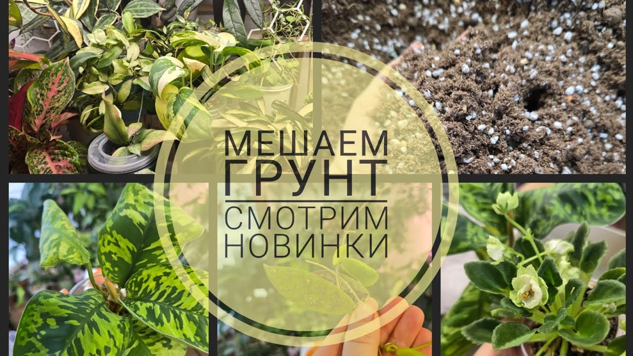 Новинки прошлой недели. Мешаем грунт