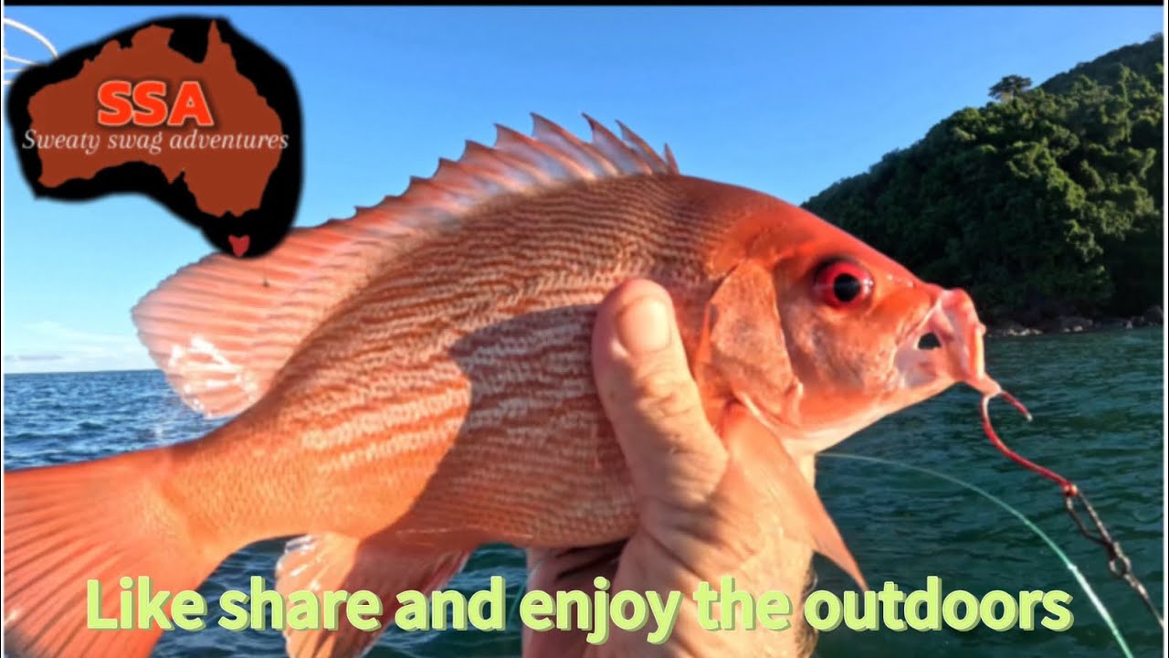 No fish were hurt in the making but plenty was caught 
