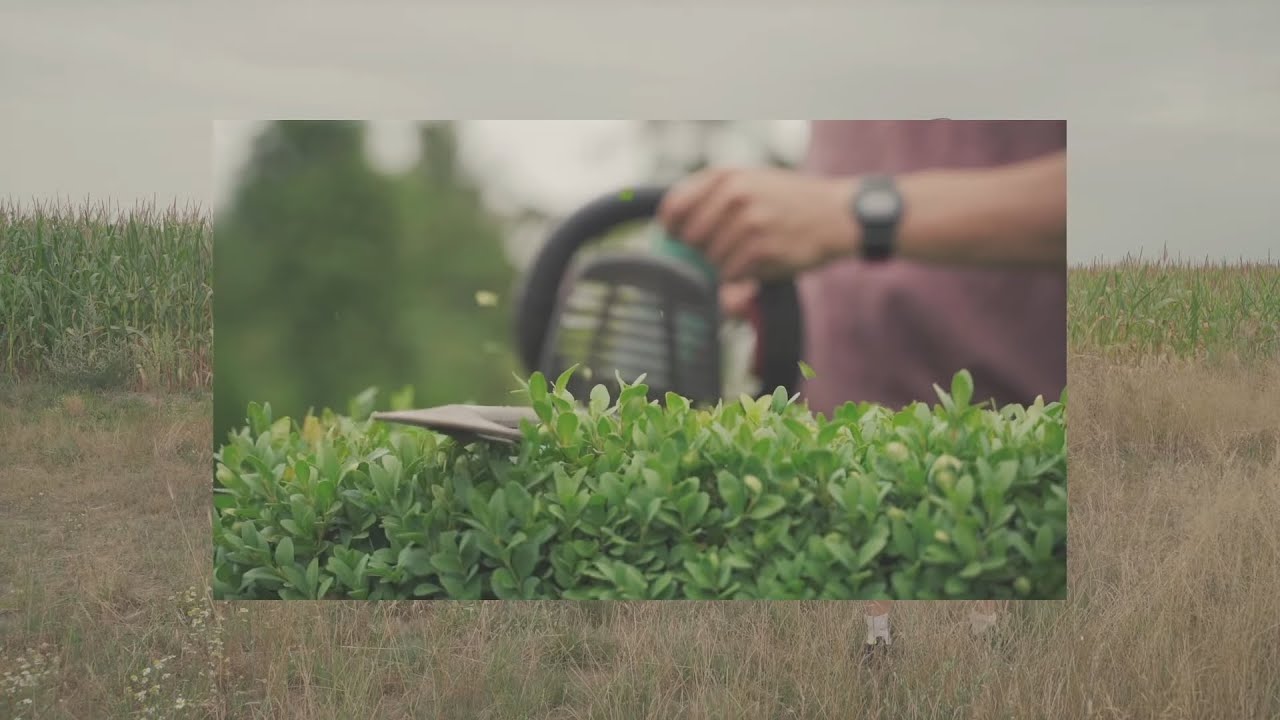 Szlachcik - GARTENMEISTER Feat. Ścigacz