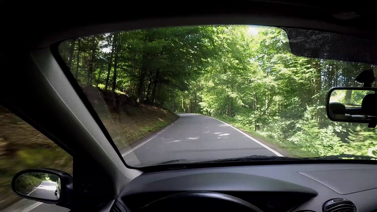Ford Focus ST170 POV Forest Drive (Raw Exhaust Sound)