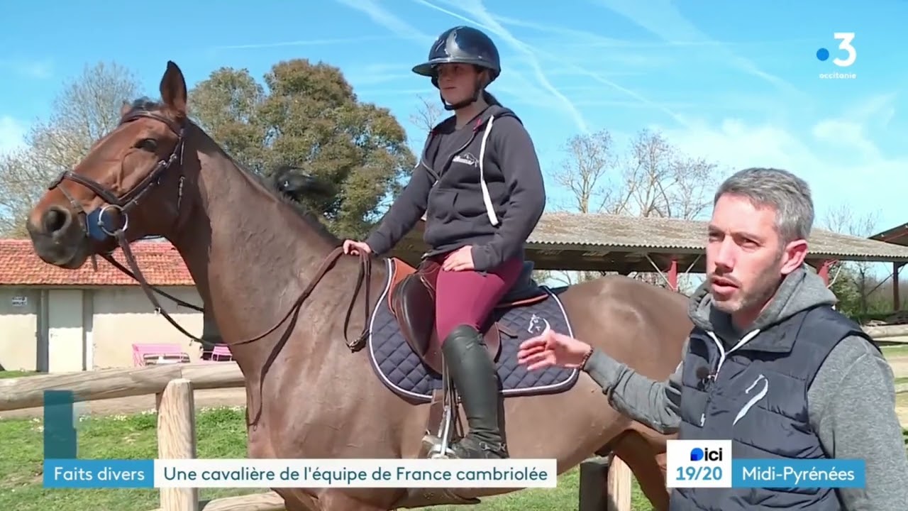 Ville de LHERM - Vol des équipements d'équitation d'Olympe Rameau Glodieu