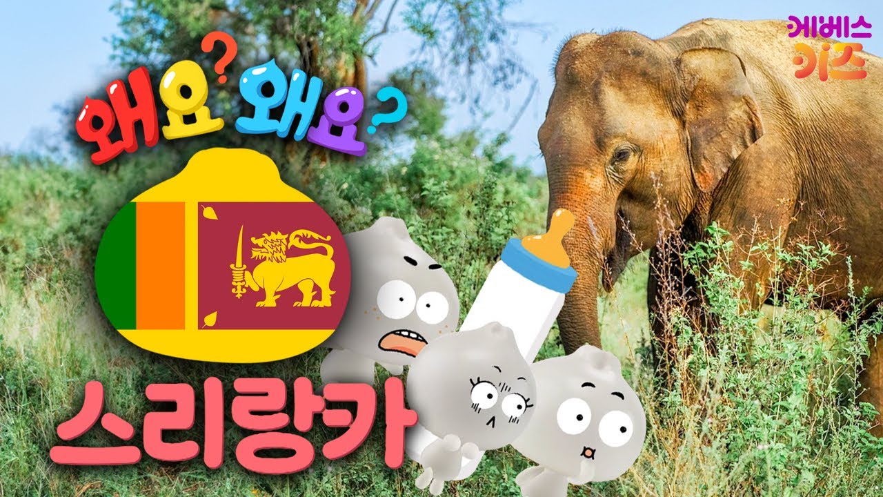 인도양의 진주, 코끼리들의 천국ㅣ스리랑카ㅣ왜요? 왜요? 궁금할 만두ㅣKBS 250410 방송