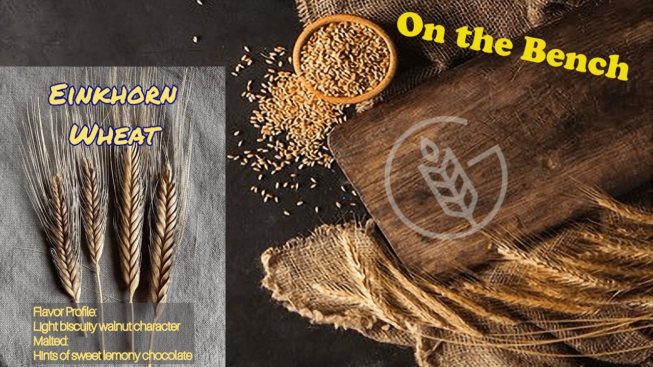 Ancient Wheat Series - Einkhorn