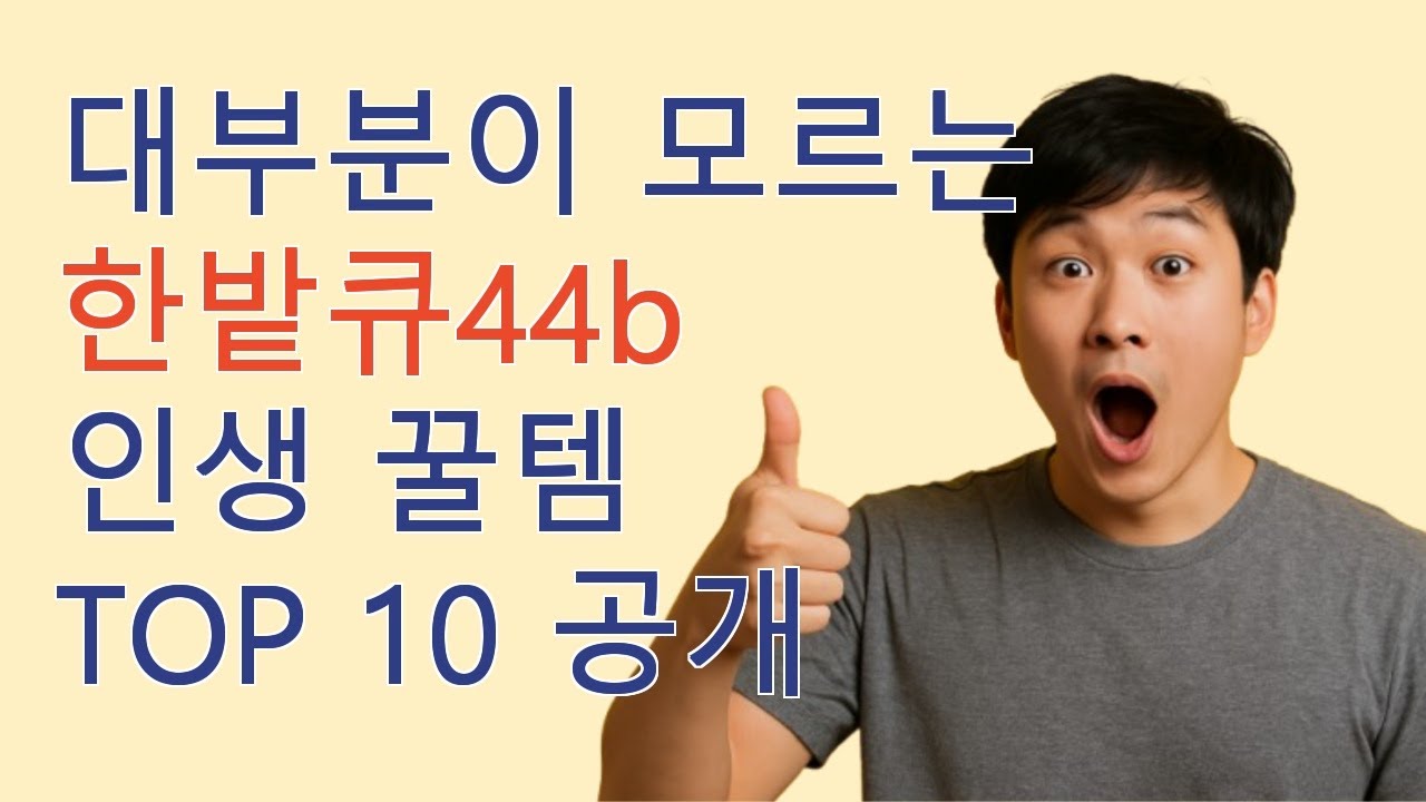 한밭큐44b 내돈내산 인생템 TOP10