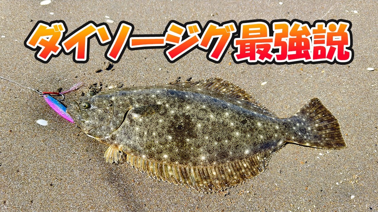 ダイソージグでヒラメが釣れたので捌いて食べる【釣り | 鹿島灘】2024.05.18