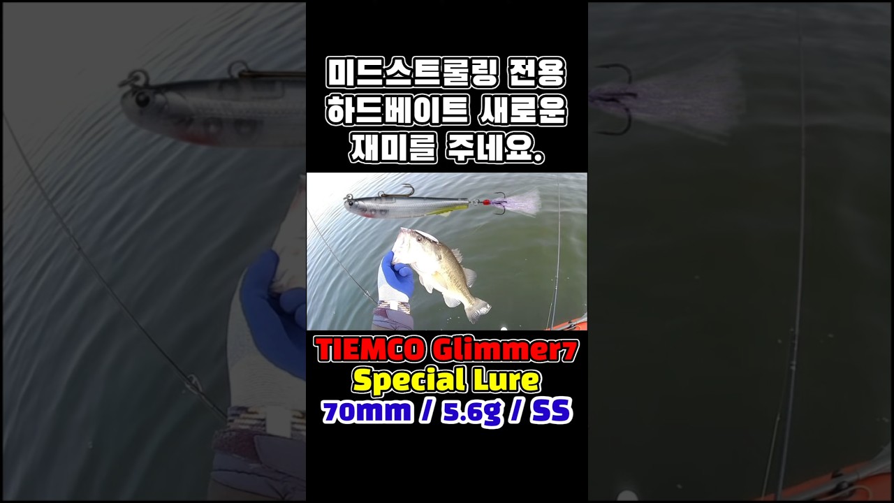 미드스트롤링 전용 하드베이트 / Lure for midstrolling only / ミッドストローリング専用ルアー