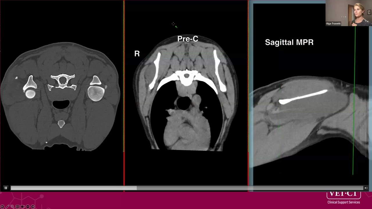 VET.CT Radiology Webinar - Case examples (Cases 7-9): When and why should you consider CT?