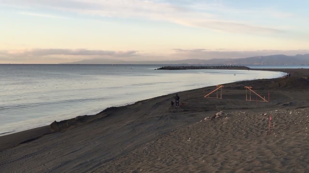 2026/01/31  AM7時30分頃　湘南茅ヶ崎パーク波情報