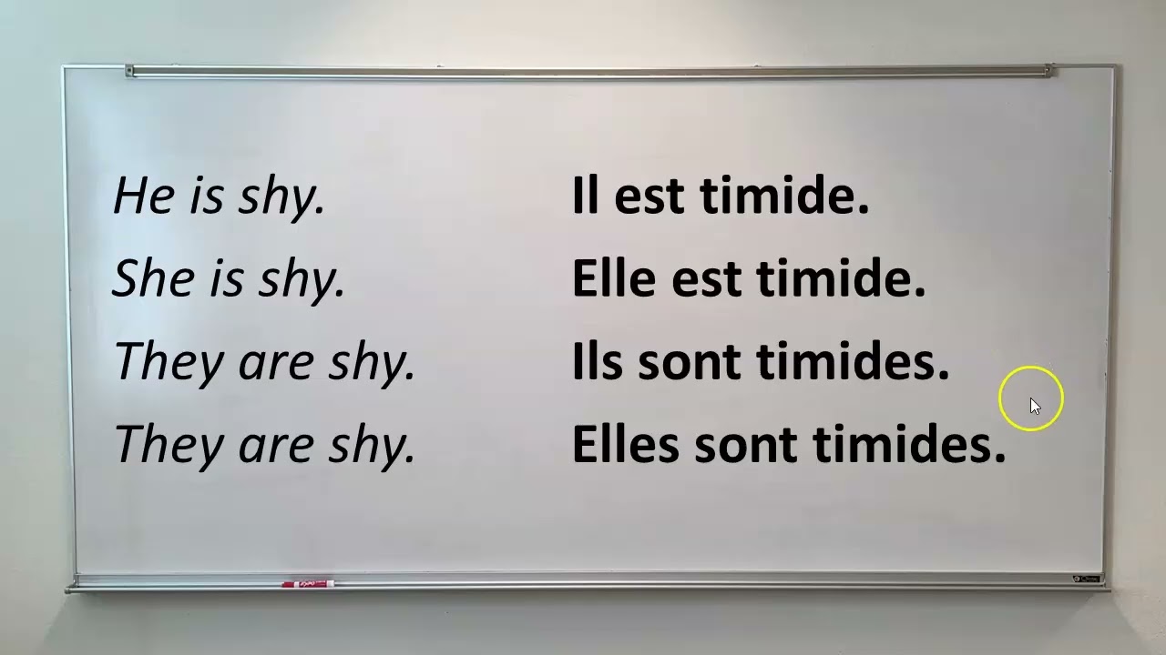 137 Easily Learn French, Adjectives with only 2 forms